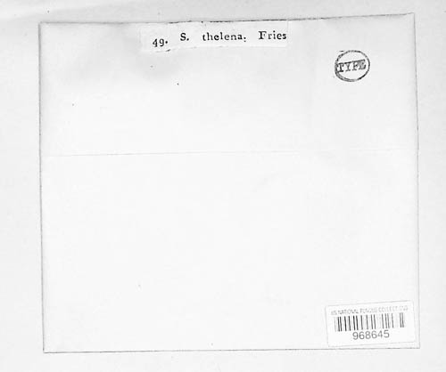 Rosellinia image